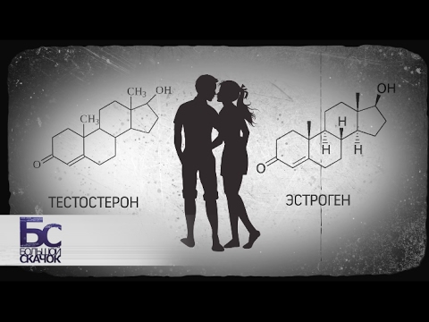 Верность и измена. Как проверить чувства | Большой скачок
