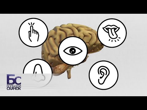 Большой скачок. Совесть